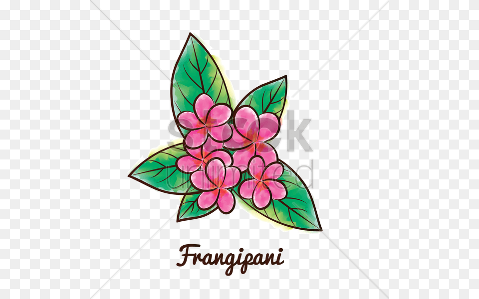 Frangipani Flower Vector Image, Art, Dahlia, Floral Design, Graphics Free Png