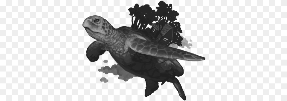 Frankerz Kemp39s Ridley Sea Turtle, Animal, Reptile, Sea Life, Tortoise Png Image