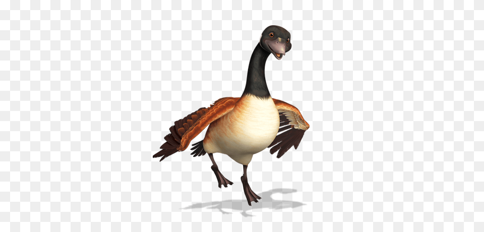 Franklin And Friends Goose, Animal, Bird, Waterfowl, Anseriformes Png Image