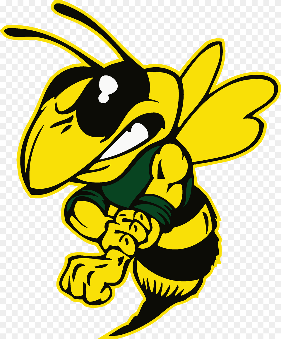 Franklin High Homepage, Animal, Bee, Insect, Invertebrate Png Image