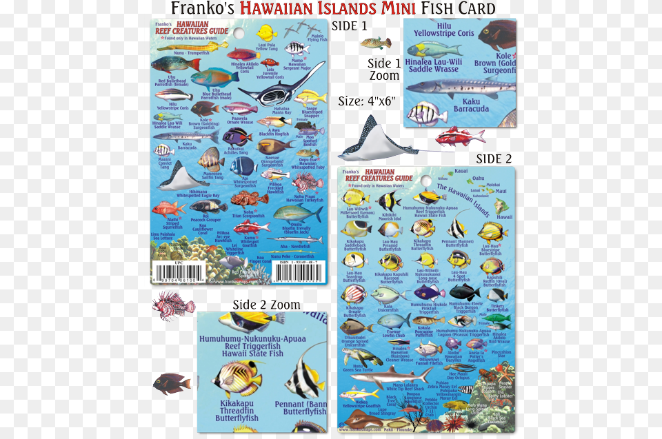 Franko Maps Hawaiian Islands Reef Creatures Mini Id Card, Book, Publication, Comics, Animal Free Transparent Png