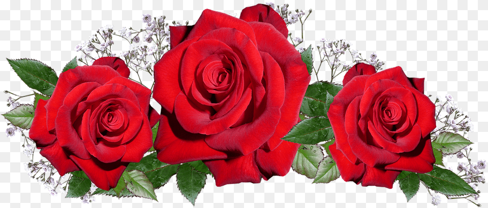 Frases Bonitas Para Da De La Madre Transparents Romantic Love, Flower, Flower Arrangement, Flower Bouquet, Plant Png Image
