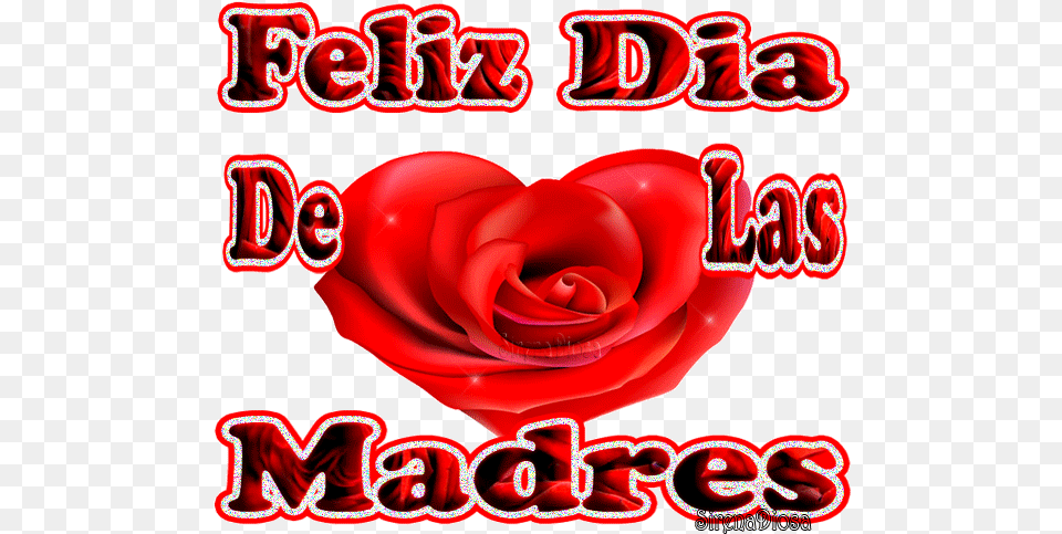 Frases Dia De La Madre Transparent Images U2013 Free Rose Heart, Flower, Plant Png