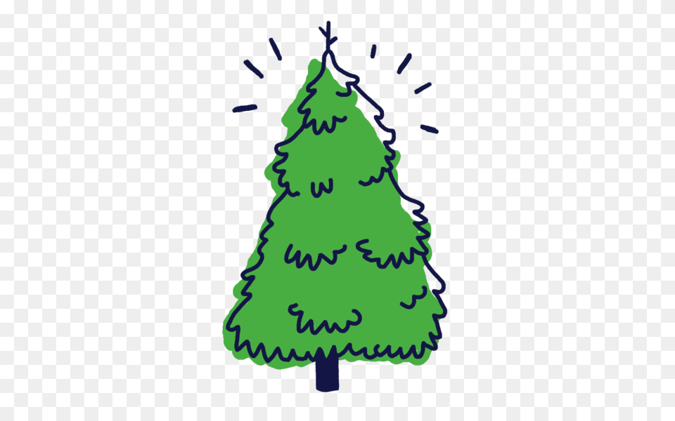 Frazier Fir Christmas Tree Clipart, Christmas Decorations, Festival, Plant, Christmas Tree Free Png Download
