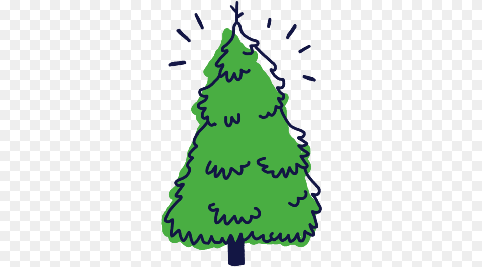 Frazier Fir Christmas Tree Clipart Christmas Tree, Person, Christmas Decorations, Festival, Plant Free Png Download