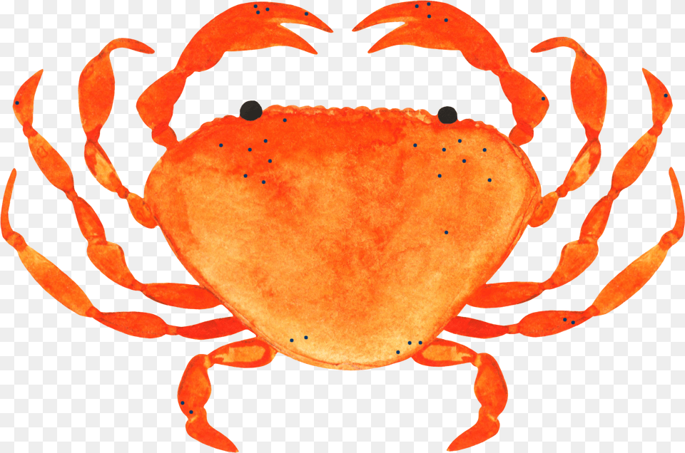 Freckled Crab, Food, Seafood, Animal, Invertebrate Free Png