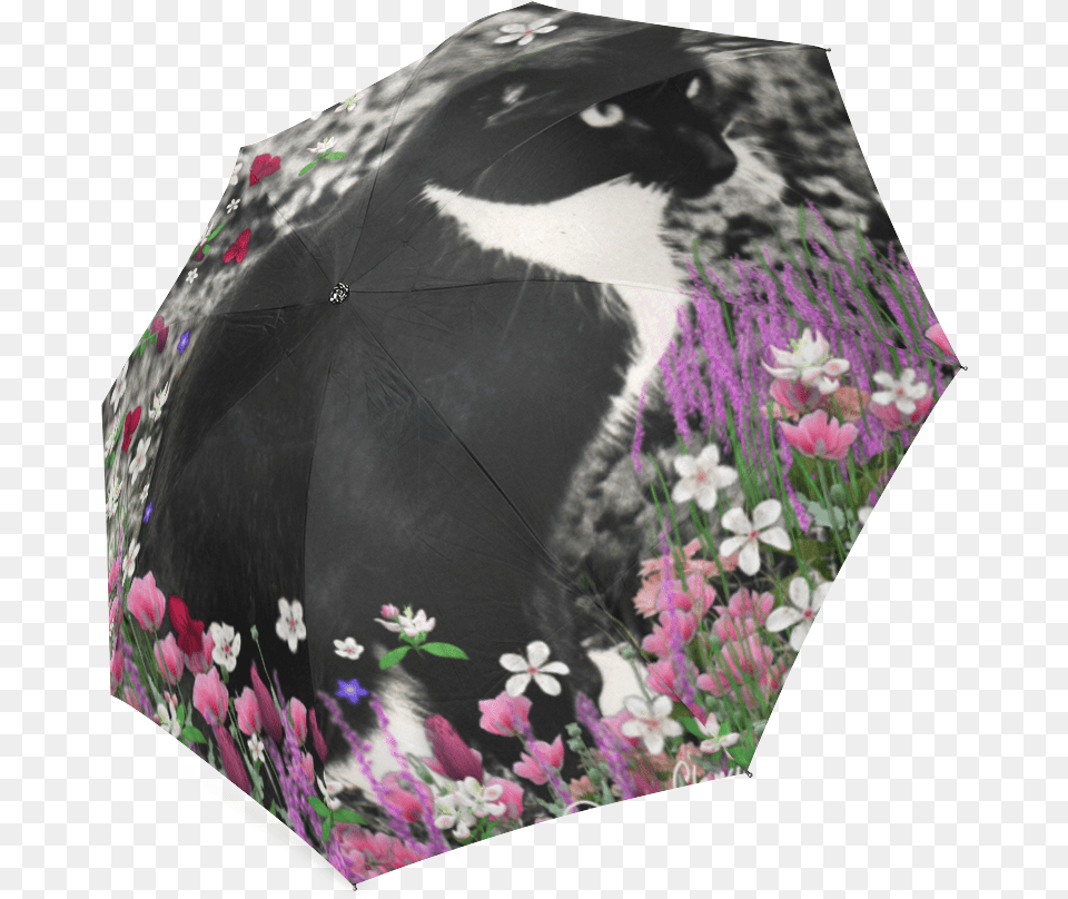 Freckles In Flowers Ii Black White Tuxedo Cat Foldable, Canopy, Umbrella Png