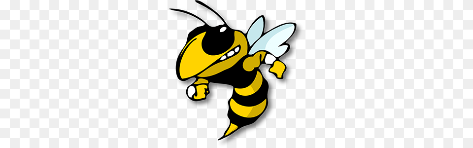 Fred M Lynn Grade Back To School Nightnew Woodbridge, Animal, Invertebrate, Insect, Honey Bee Free Transparent Png