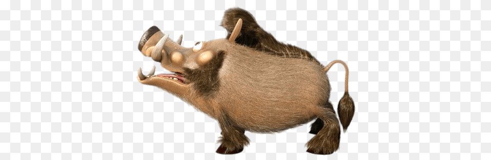 Fred The Boar Side View, Animal, Hog, Mammal, Pig Png Image