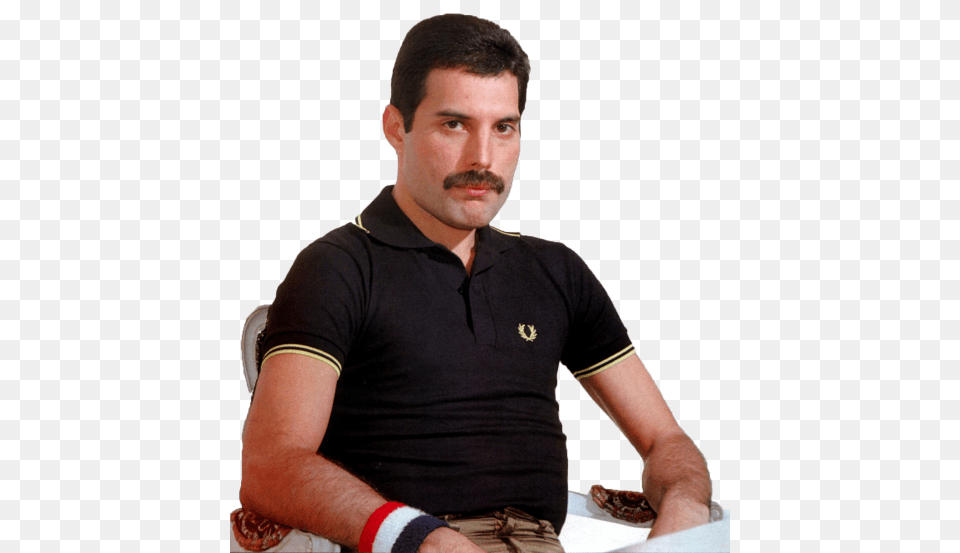 Freddie Mercury Sitting Transparent, Portrait, Photography, Face, Person Png Image