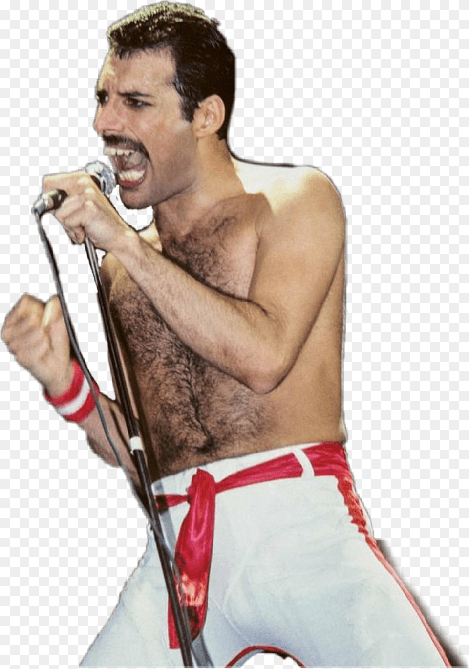 Freddie Mercury Transparent Background, Solo Performance, Electrical Device, Person, Performer Free Png Download