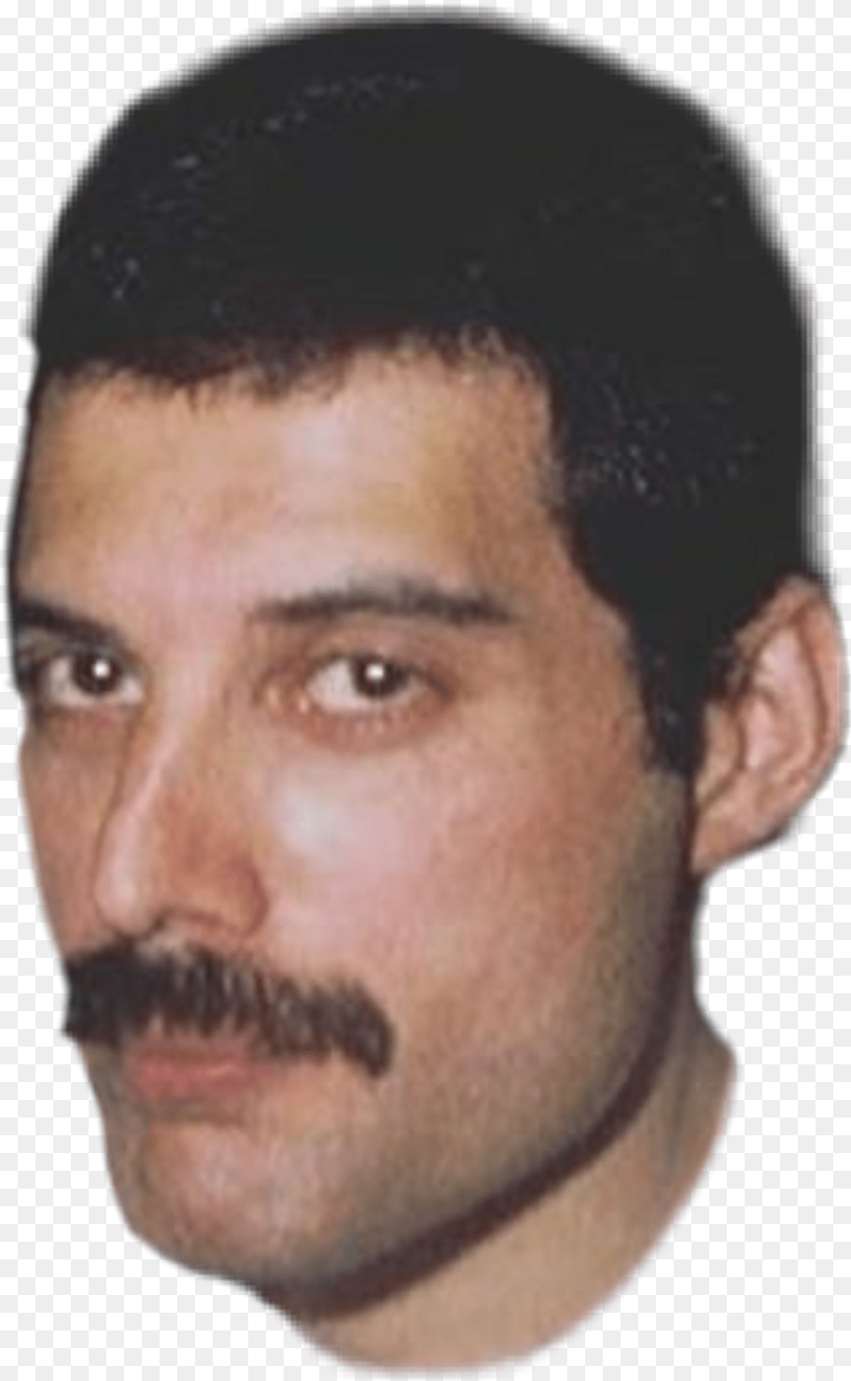 Freddie Mercury Transparent Freddie Mercury Face, Head, Mustache, Person, Adult Png