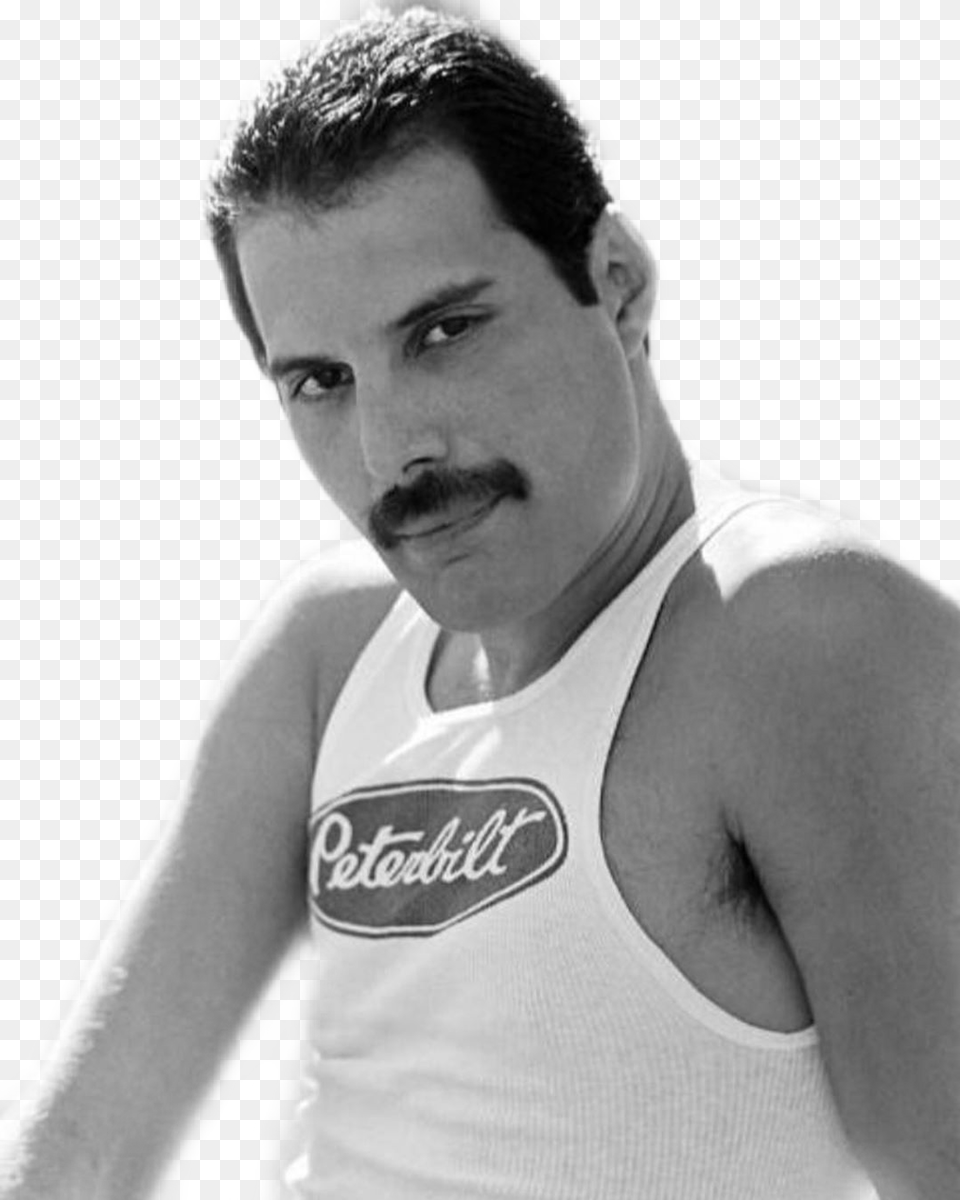 Freddiemercury Freddie Mercury Queen Legend Rock Freddie Mercury Croch Shots, Adult, Face, Head, Male Png