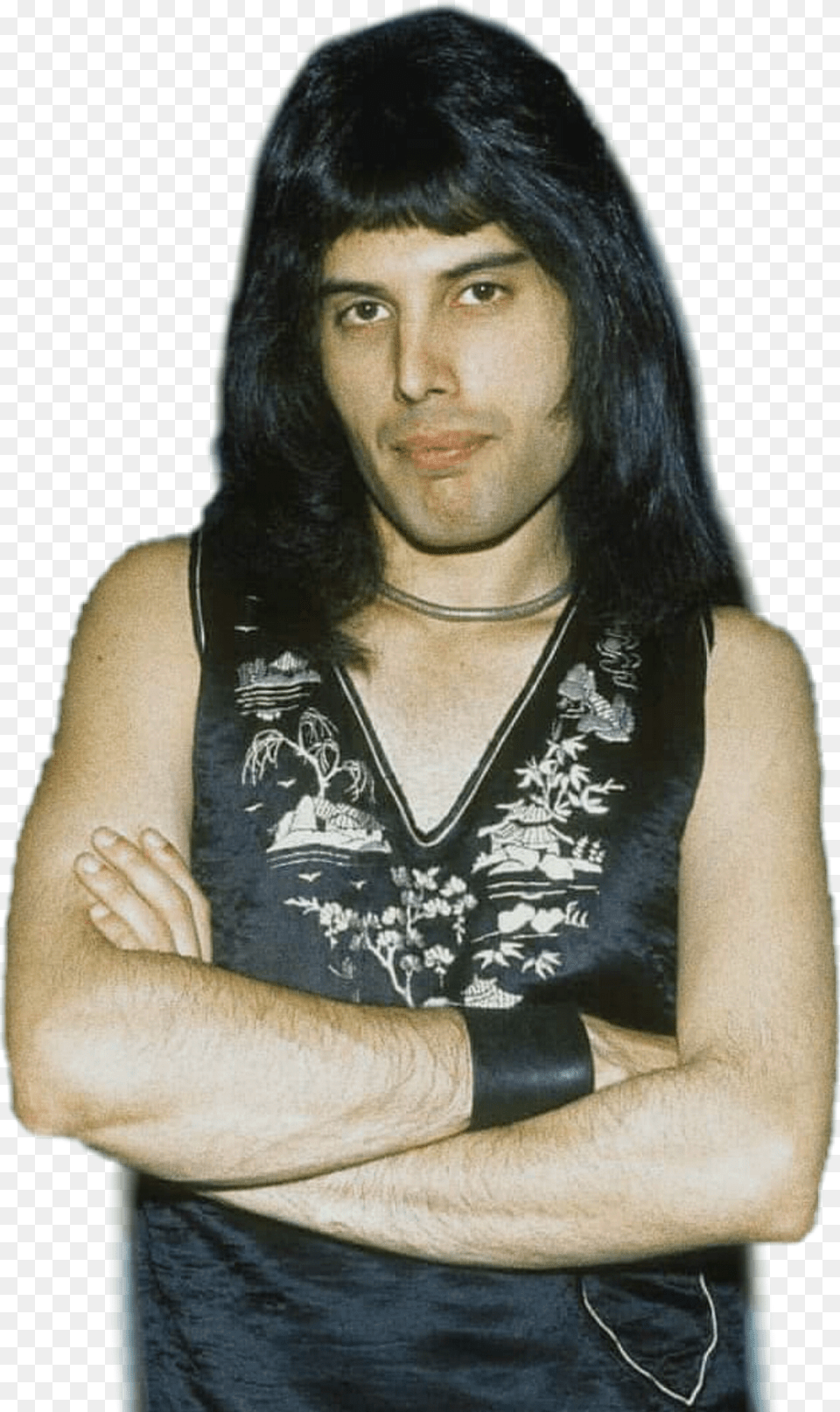 Freddiemercury King Queen Gorgeous Rock Rockroyalty Freddie Mercury, Portrait, Adult, Photography, Face Free Transparent Png