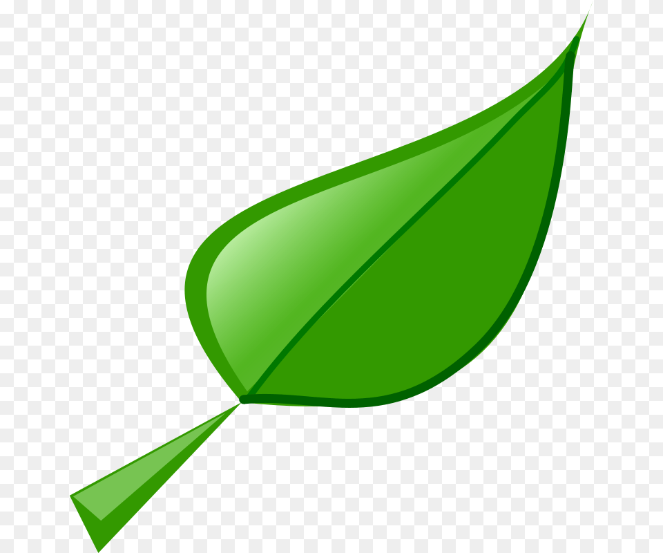 Fredoguy Leaf, Green, Plant Png Image