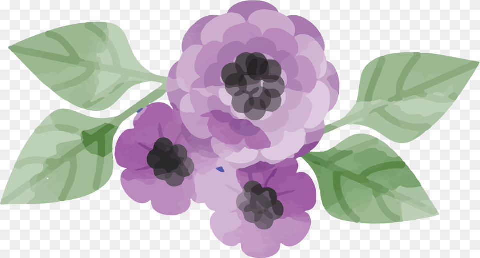 Free Acuarela De Flores With Transparent Flores, Flower, Plant, Purple, Dahlia Png