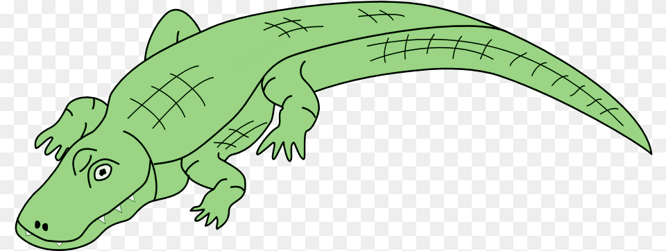 Alligator Transparent Clipart Alligator Clip Art Transparent, Animal, Reptile, Crocodile Free Png Download