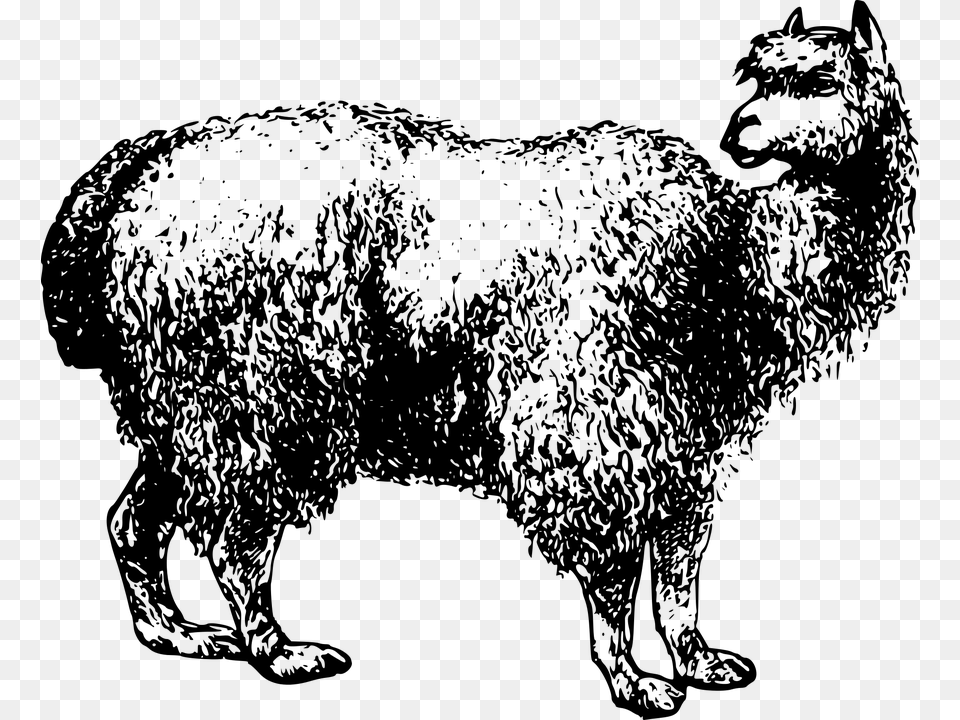 Free Alpacalypse Novelty Sign Indooroutdoor Funny Home, Gray Png