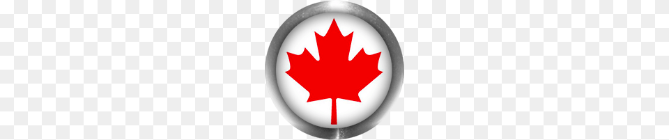 Free Animated Canadian Flags, Leaf, Maple Leaf, Plant, First Aid Png