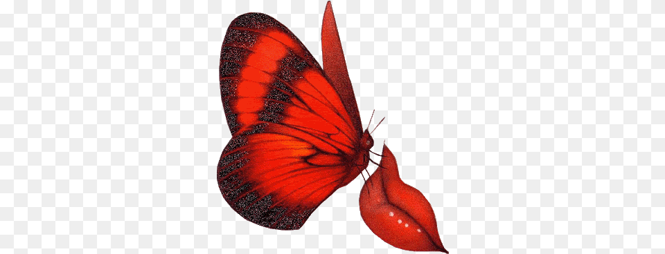 Animation Animated Butterfly Love Good Morning Animation, Flower, Petal, Plant, Animal Free Png Download