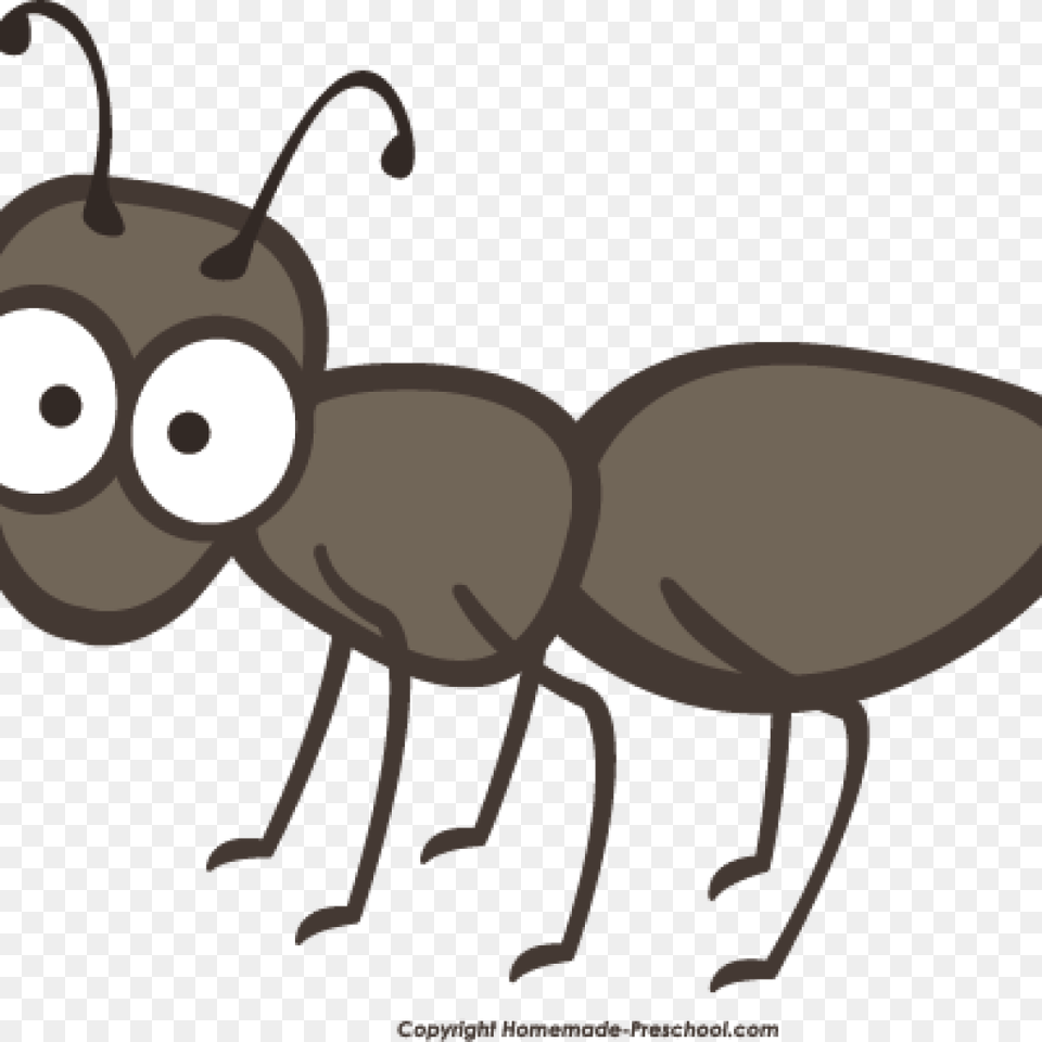 Ant Clipart Ant Clipart Amazing Cartoon Ant Transparent Background Ants Clipart, Animal, Insect, Invertebrate, Kangaroo Free Png