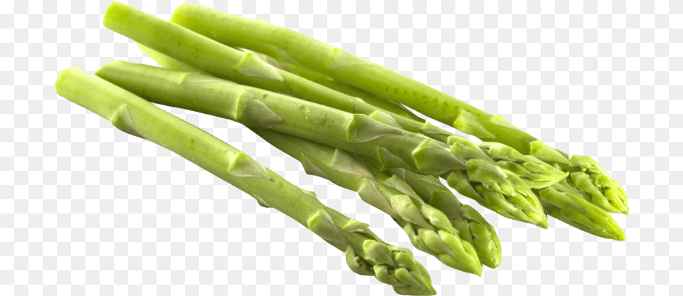 Free Asparagus Transparent Asparagus, Food, Plant, Produce, Vegetable Png Image