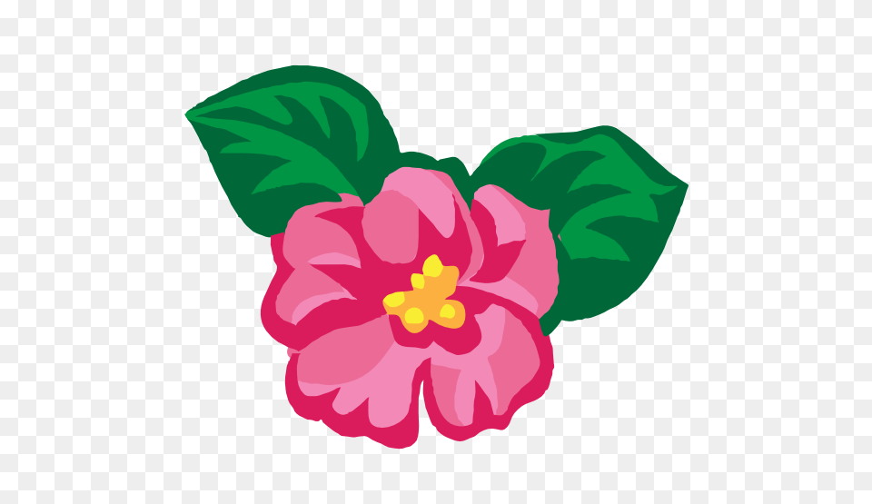 August Clip Art Pictures, Flower, Plant, Hibiscus Free Png Download