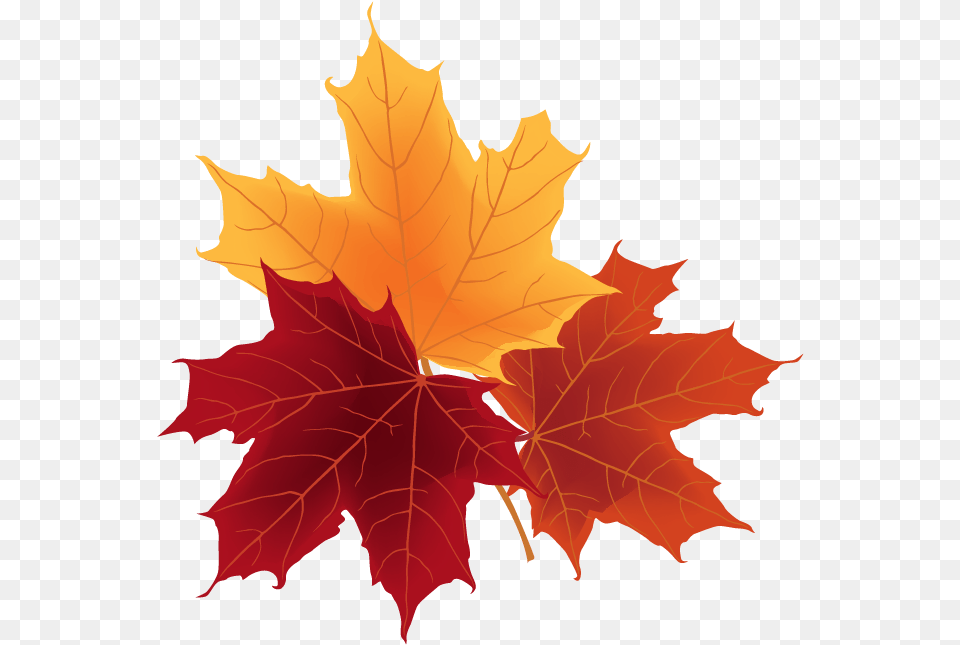 Autumn Leaves Autumn Leaves, Leaf, Plant, Tree, Maple Free Png Download