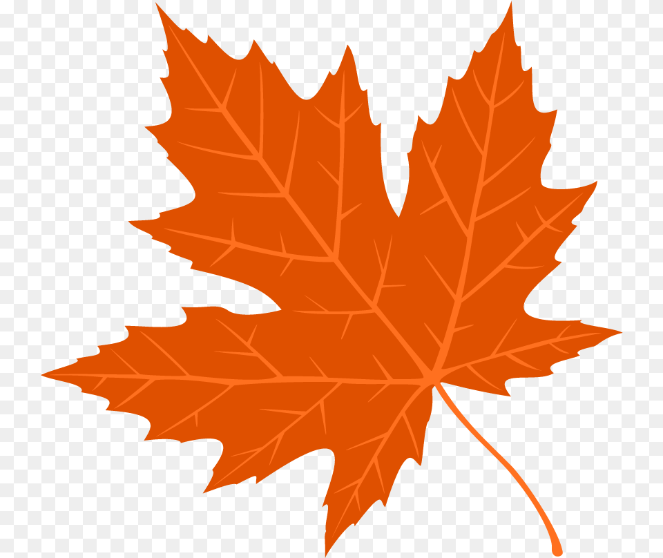 Free Autumn Leaves Fall Leave, Leaf, Plant, Tree, Maple Leaf Png