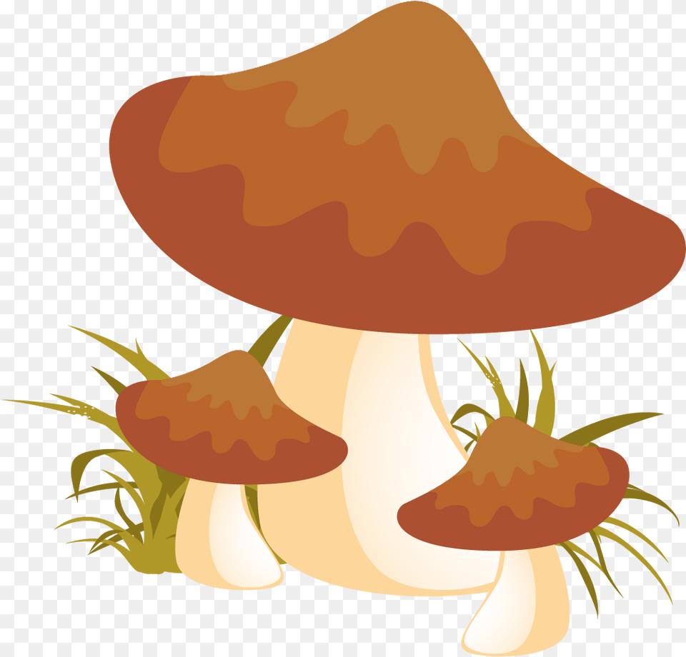 Free Autumn Mushrooms Konfest, Agaric, Fungus, Mushroom, Plant Png Image