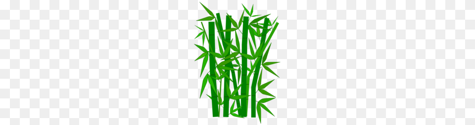 Bamboo Fence Clipart And Vector Graphics, Plant Free Transparent Png