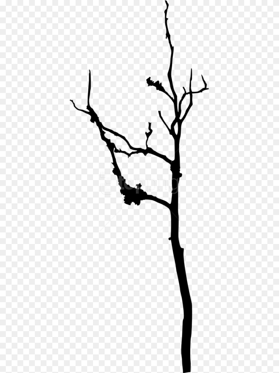Bare Tree Silhouette Images Transparent Silhouette, Plant, Bow, Weapon, Stencil Free Png