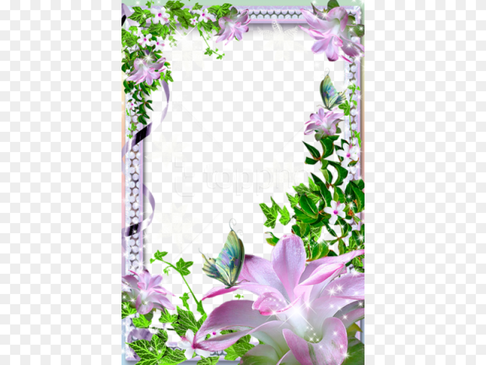 Free Best Stock Photos Beautiful Transparent Photo Beautiful Flower Photo Frames, Art, Floral Design, Graphics, Pattern Png