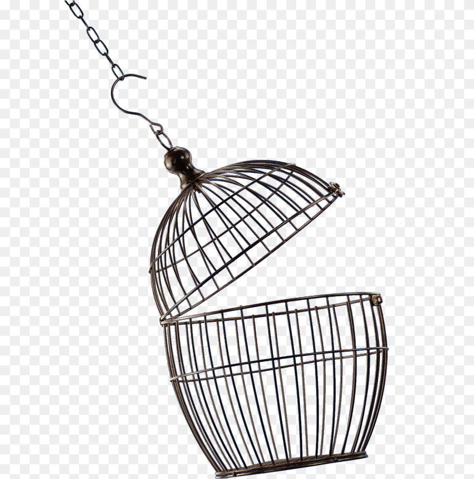 Bird Cage Open Bird Cage, Accessories Free Transparent Png