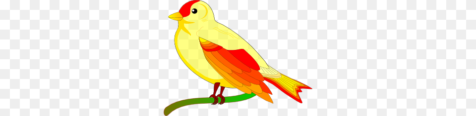 Free Bird Clip Art From High Above, Animal, Canary, Fish, Sea Life Png
