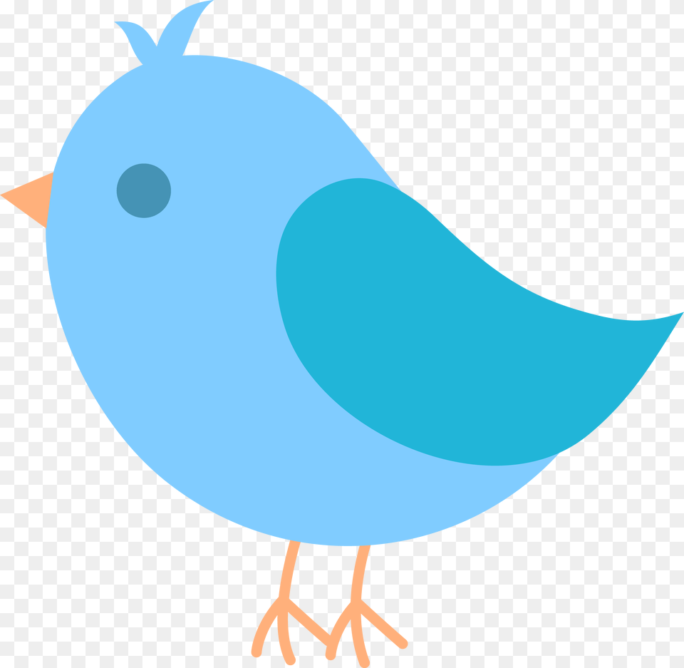 Bird Clipart, Turquoise, Animal, Jay, Nature Free Png Download