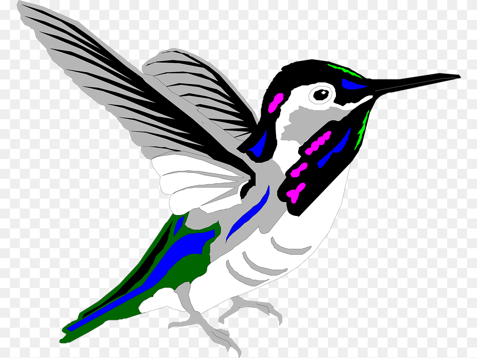 Bird Multicolored Bird High Quality Kartun Burung Kolibri, Person, Animal, Hummingbird Free Transparent Png