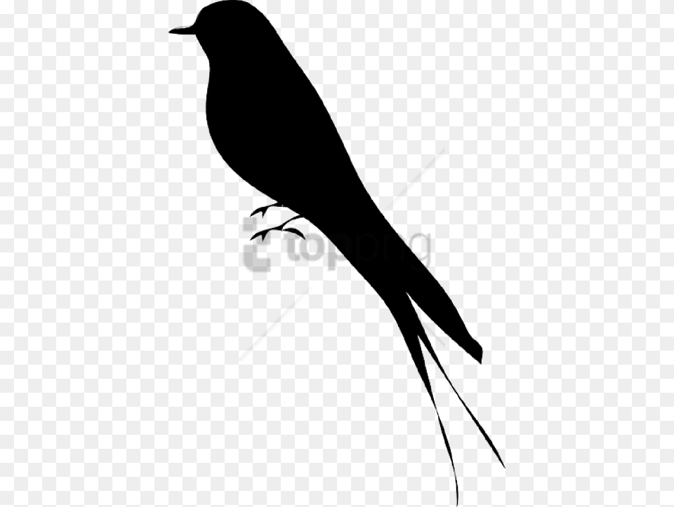 Bird Silhouette Image With Transparent Sitting Mockingbird Silhouette, Animal, Blackbird, Stencil, Fish Free Png