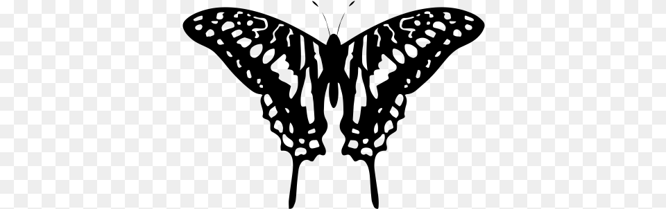 Free Black And White Butterfly Tattoo Design Https Black And White Butterfly Designs, Gray Png