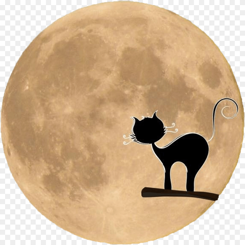 Black Cat Silhouette In Front Of The Moon Crne Macke Slike, Astronomy, Full Moon, Nature, Night Free Png Download