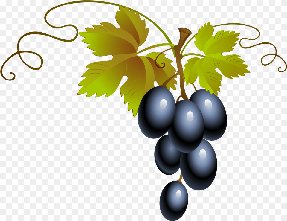 Free Blackberry Konfest, Food, Fruit, Grapes, Plant Png Image