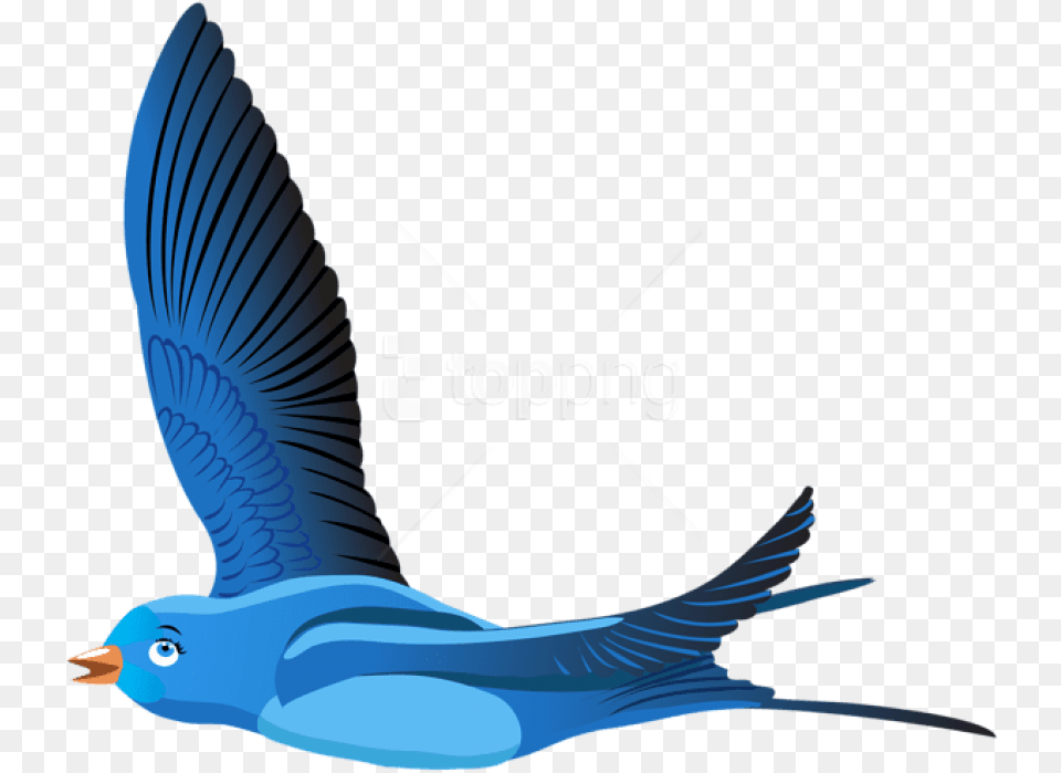 Blue Bird Cartoon Transparent Clipart Flying Bird Clipart Transparent Background, Animal, Fish, Sea Life, Shark Free Png
