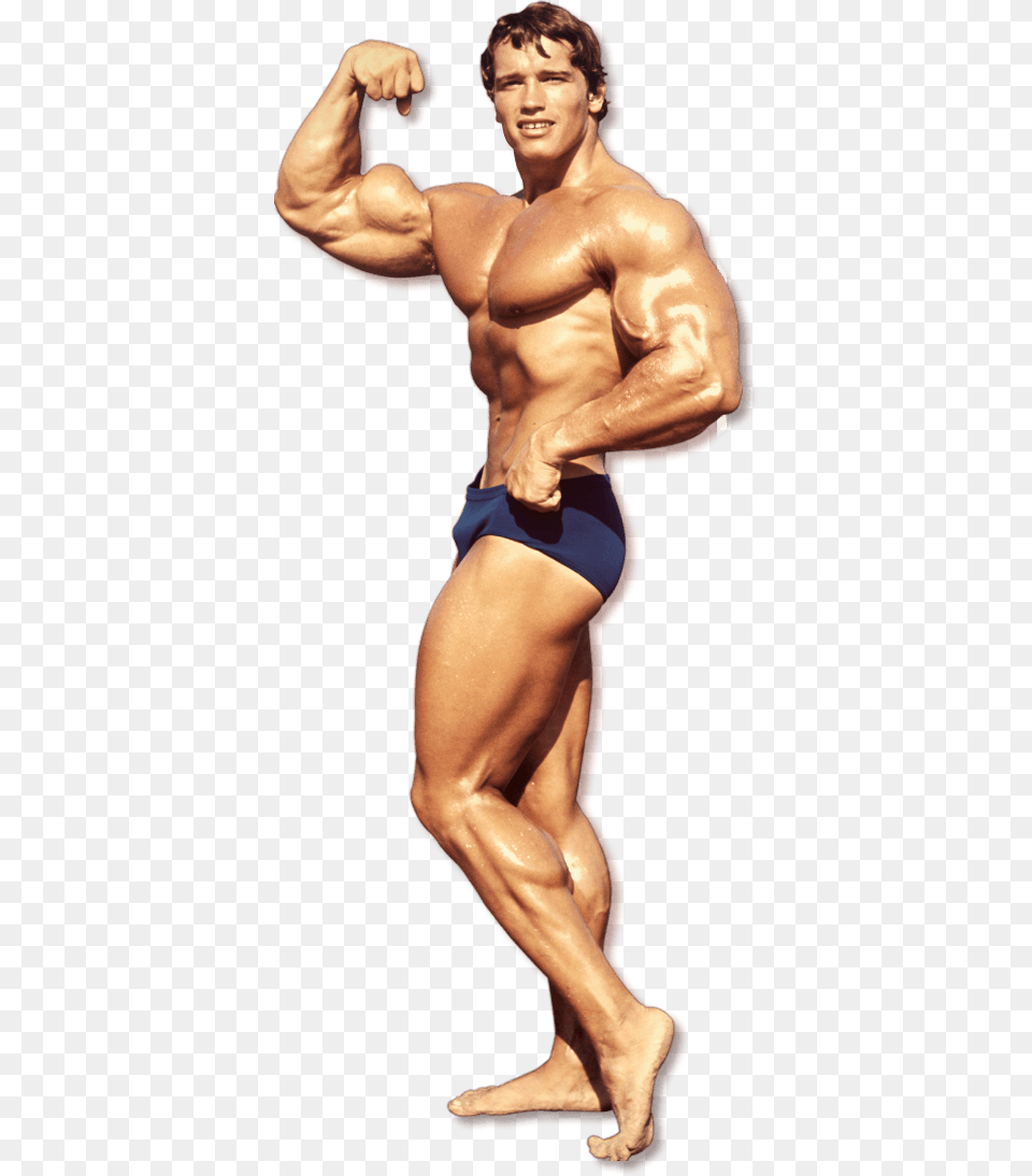Bodybuilding File Bodybuilder Full Body, Adult, Person, Man, Male Free Png
