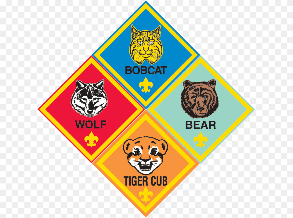 Boy Scout And Cub Scout, Animal, Mammal, Bear, Wildlife Free Png Download