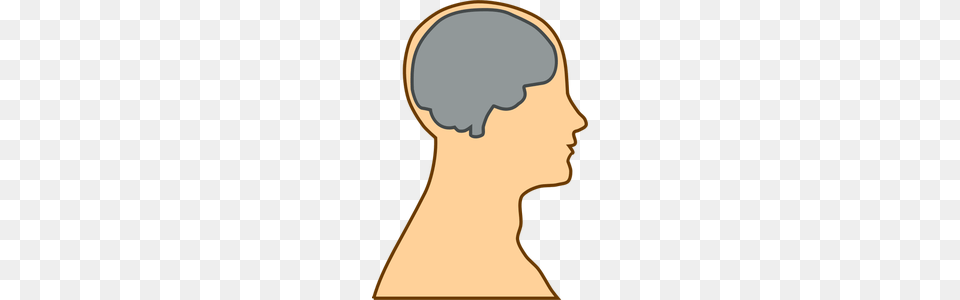 Brain Vector Illustration, Body Part, Face, Head, Neck Free Png Download