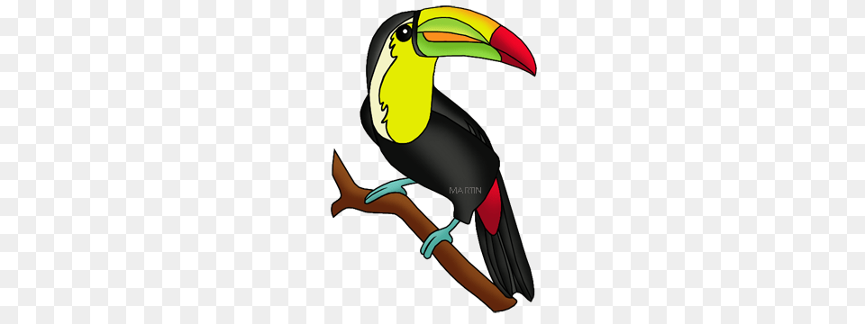Brazil Power Point Templates, Animal, Beak, Bird, Toucan Free Png Download