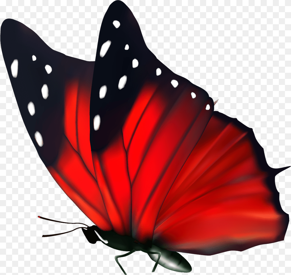 Butterfly Red, Animal, Insect, Invertebrate, Smoke Pipe Free Transparent Png