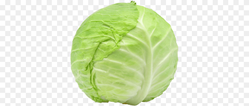 Cabbage Images Cabbage, Food, Leafy Green Vegetable, Plant, Produce Free Transparent Png