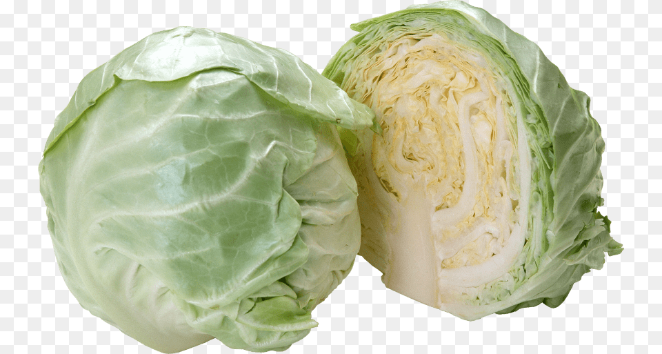 Cabbage Cabbage, Food, Leafy Green Vegetable, Plant, Produce Free Transparent Png