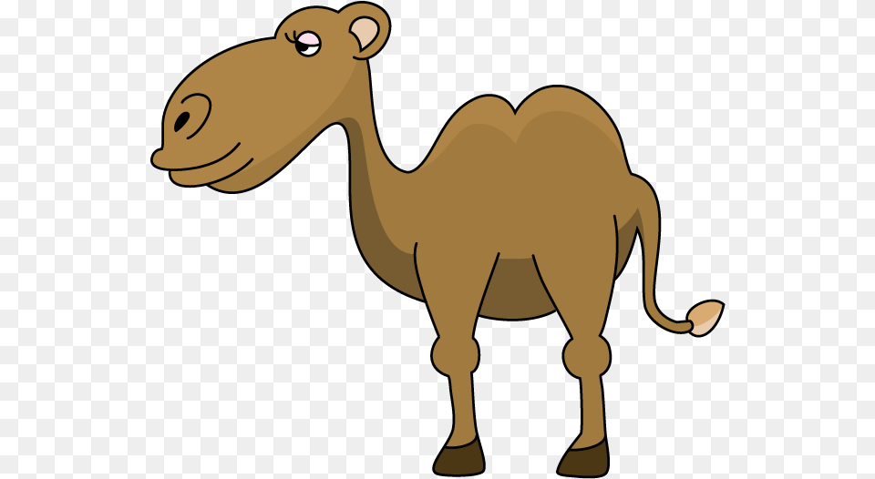 Camel Download Clip Art Animated Camel, Animal, Mammal, Kangaroo Free Transparent Png